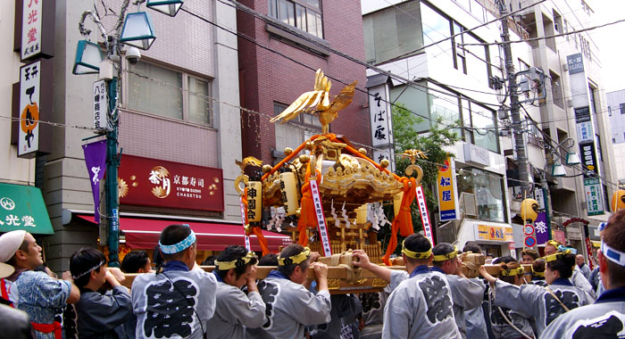 いつもの見慣れた風景が大分変わって見えますね