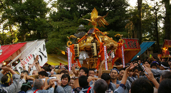 さあ、神社の中までやってきました